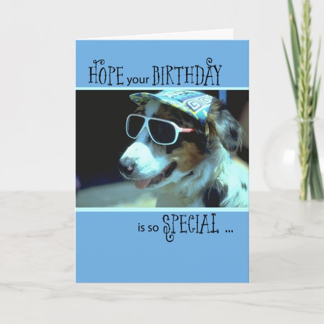 Carte Chien d'anniversaire en lunettes de soleil, humori (Devant)