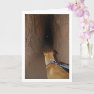 Carte Chien dans la grotte