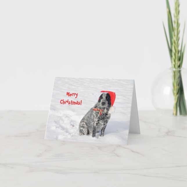Carte Chien dans la neige avec un chapeau de Père Noël a (Devant)