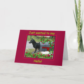 Carte Chien de boîte aux lettres, bonjour
