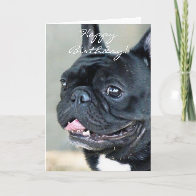 Carte Chien de bouledogue français d'anniversaire (Devant)