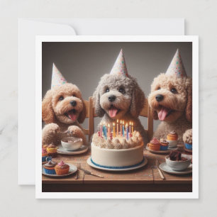 Carte chien de caniche, Anniversaire de caniche
