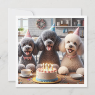 Carte chien de caniche, Anniversaire de caniche