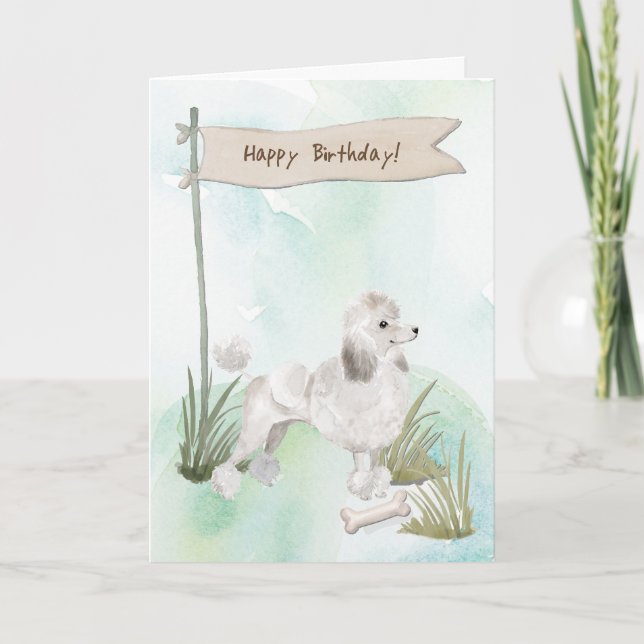 Carte Chien de caniche blanc sous signe d'anniversaire (Devant)