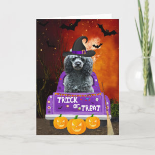 Carte Chien de caniche dans un camion Halloween