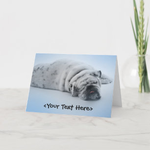 Carte Chien de chambre