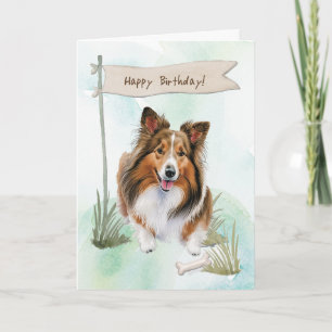 Carte Chien de Chien de Chien de Shetland se reproduit s