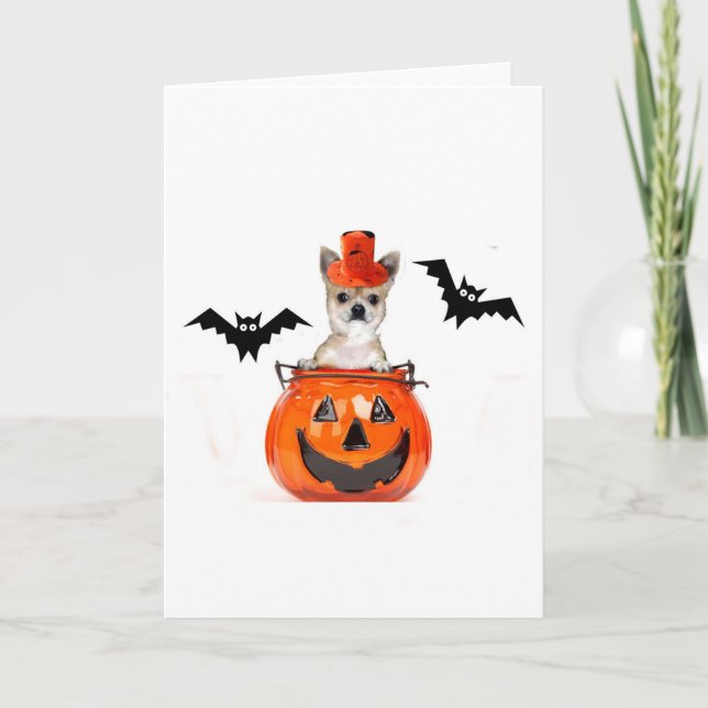 Carte Chien de chiwawa de Halloween (Devant)