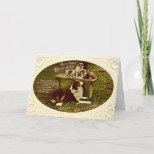 Carte Chien de colley et cru 1910 de joyeux anniversaire