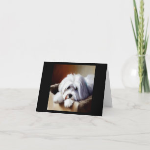 Carte Chien de Coton de Tulear