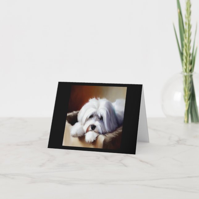 Carte Chien de Coton de Tulear (Devant)