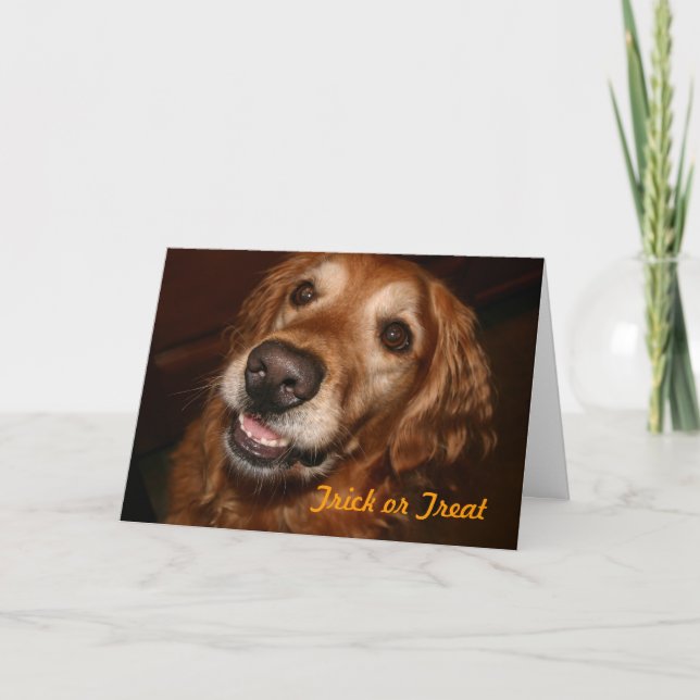 Carte Chien de des bonbons ou un sort (Devant)