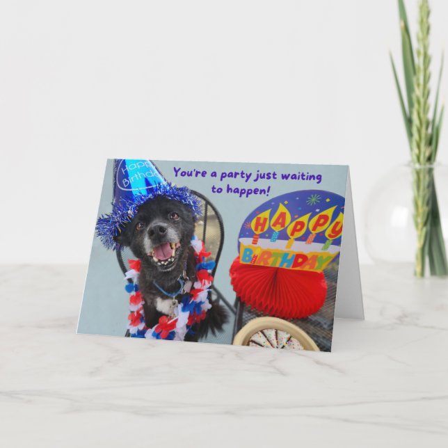 Carte Chien de fête drôle Anniversaire (Devant)