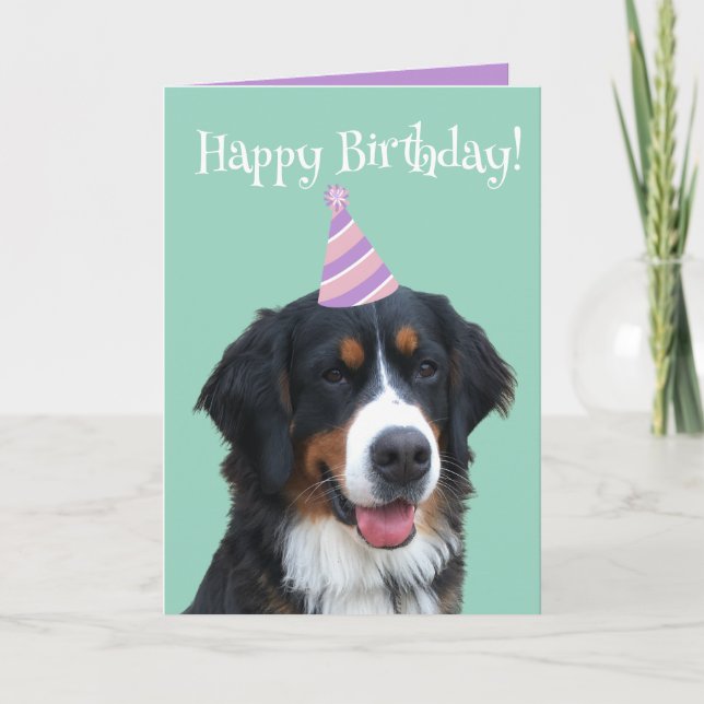 Carte Chien de montagne bernois Chiot Anniversaire (Devant)