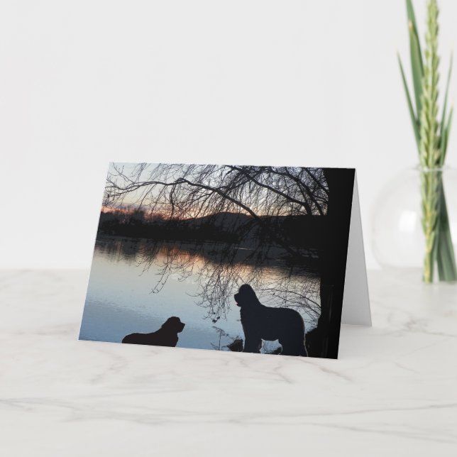 Carte Chien de Newfounland Salutation (Devant)