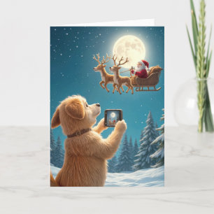 Carte Chien De Noël Photographiant Le Père Noël À Sleigh