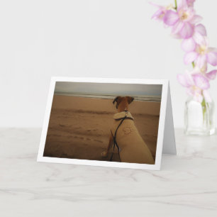 Carte Chien de plage