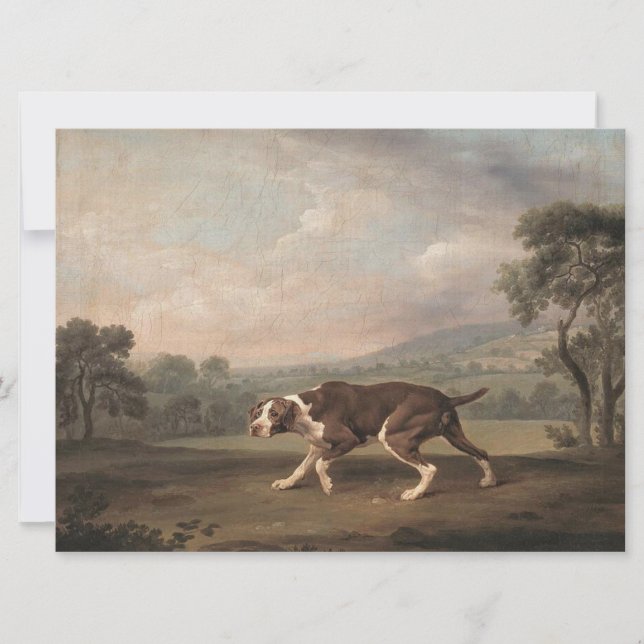 Carte Chien de pointer espagnol (par George Stubbs) (Devant)