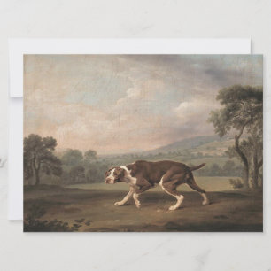 Carte Chien de pointer espagnol (par George Stubbs)