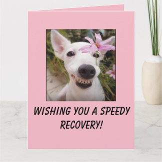 Carte Chien de récupération rapide avec Big Card Fleur