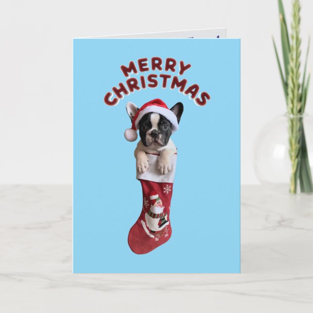 Carte Chien de taule français - Stocking de Noël (Devant)