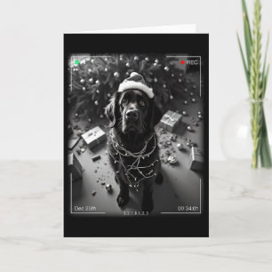 Carte Chien de Terre-Neuve de Noël pris sur caméra 