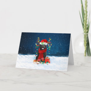Carte Chien de Terre-Neuve en neige avec cadeaux de Noël