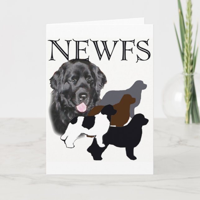 Carte Chien de Terre-Neuve quatre couleurs (Devant)