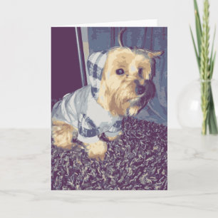 Carte Chien De Yorkie Mignonne Portant Un Chien De Sweat