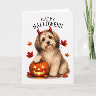 Carte Chien diable d'Halloween Havanais