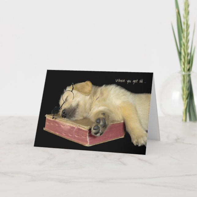 Carte Chien d'or sur le livre (Devant)
