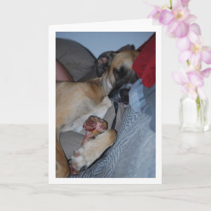 Carte Chien dormant avec un os