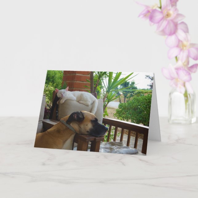 Carte Chien dormant en chaise avec Kitten blanc (Orchidée)
