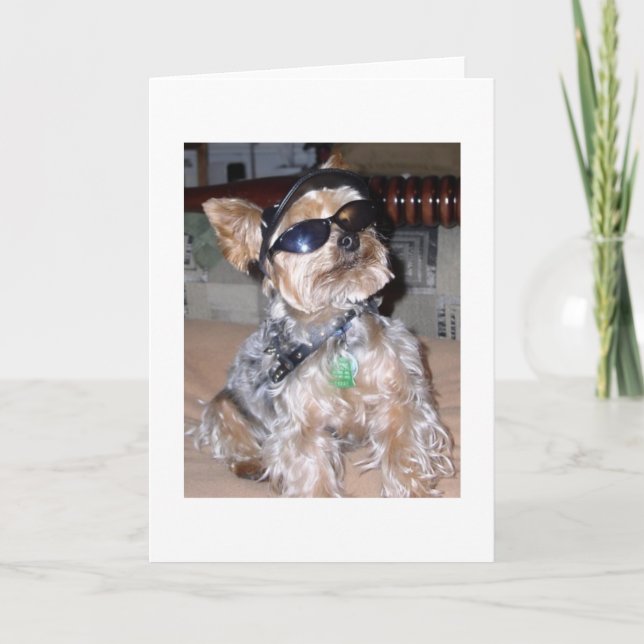 Carte Chien dur (Devant)