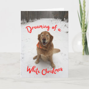 Carte Chien en neige rêvant de Noël blanc