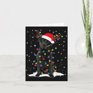 Carte Chien en pyjama à lumière de sapin de Noël Labrado
