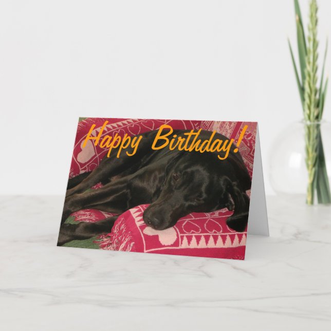Carte Chien endormi "Fête jusqu'à ce que vous soyez POOP (Devant)