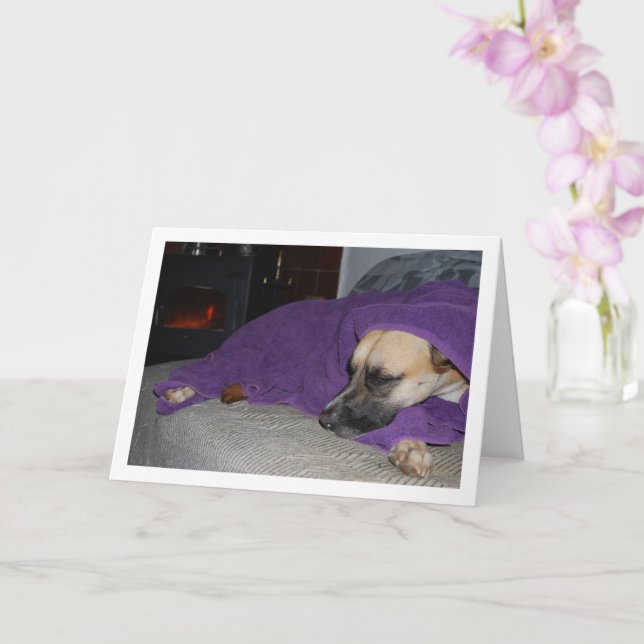 Carte Chien endormi près de la cheminée (Orchidée)