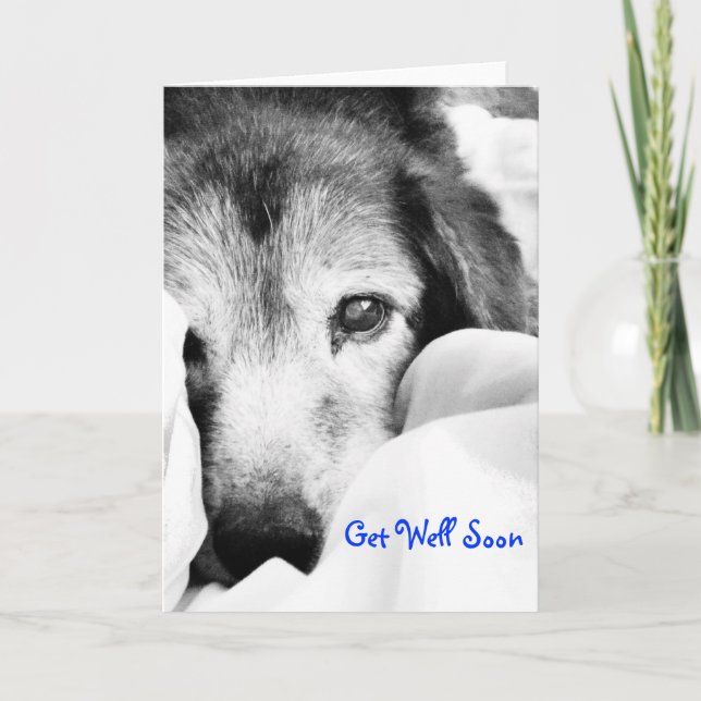 Carte chien endormi sur le lit câlin noir blanc (Devant)