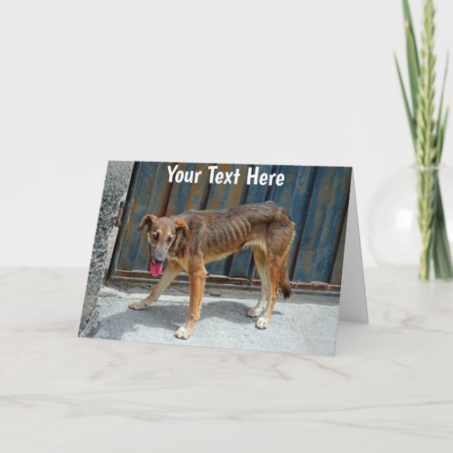 Carte Chien errant personnalisable (Devant)