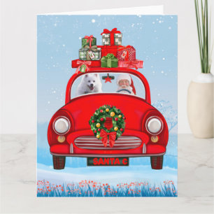 Carte Chien Eskimo Américain En Voiture Avec Santa Claus