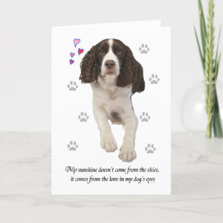 Carte Chien espagnol Springer anglais
