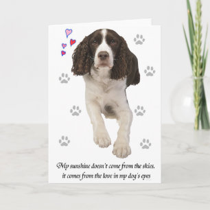 Carte Chien espagnol Springer anglais