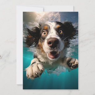 Carte Chien Excité Nageant Sous L'eau Design