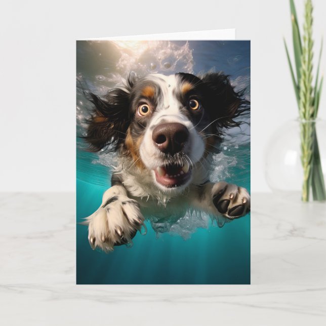 Carte Chien Excité Nageant Sous L'eau Design (Devant)