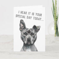 Chien gris mignon drôle Joyeux anniversaire