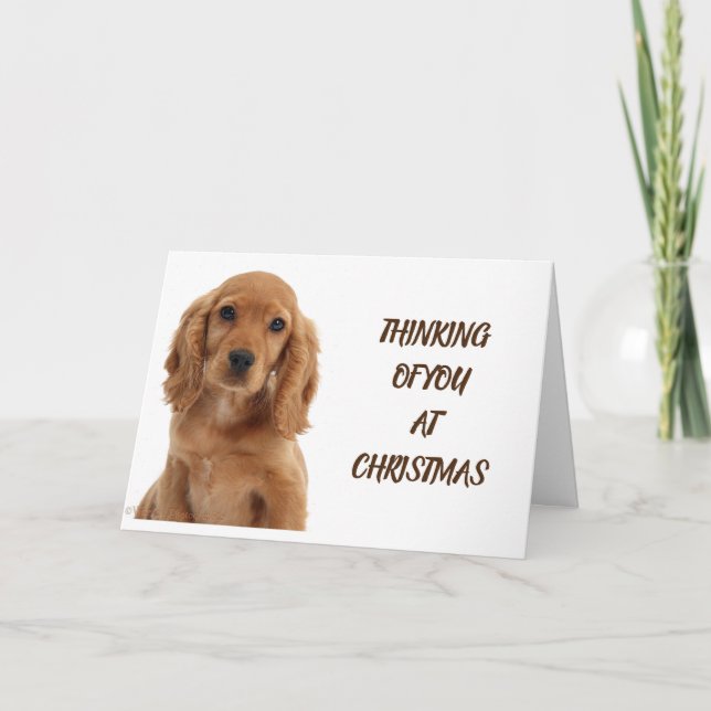 CARTE CHIEN GROOMER, VÉTÉRINAIRE ET CHIEN MARCHER (Devant)