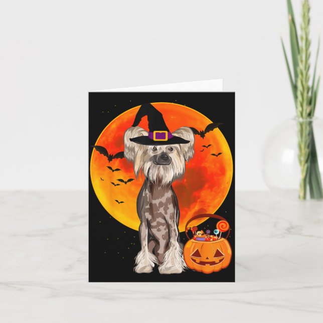 Carte Chien Halloween Crested chinois Citrouille Jack O  (Devant)