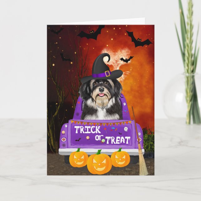 Carte Chien Havanais en camion Halloween (Devant)