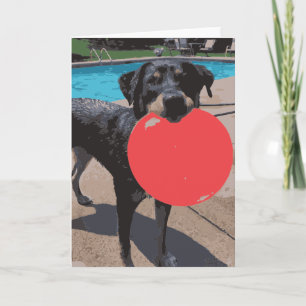 Carte Chien Jouant Frisbee Piscine